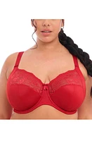 Elomi Morgan Full Figure Underwire Bra at Nordstrom,