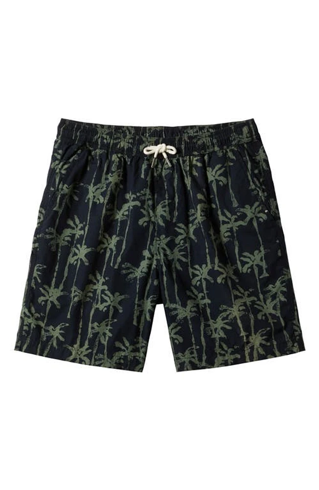 Quiksilver Taxer Palm Tree Print Drawstring Shorts in Laurel Wreath at Nordstrom, Size Small