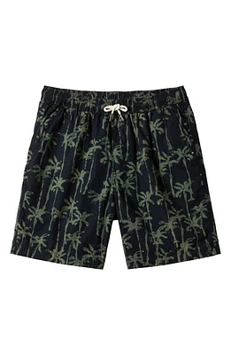 Quiksilver Taxer Palm Tree Print Drawstring Shorts in Laurel Wreath at Nordstrom, Size Small