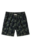 Quiksilver Taxer Palm Tree Print Drawstring Shorts in Laurel Wreath at Nordstrom, Size Small