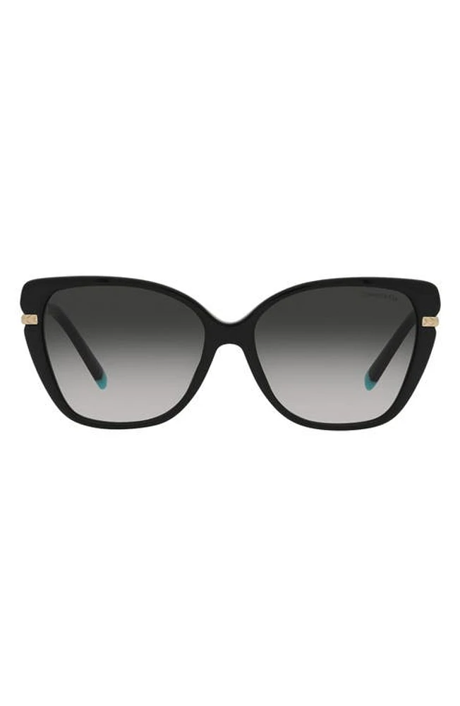 Tiffany & Co. 57mm Gradient Cat Eye Sunglasses in Black at Nordstrom