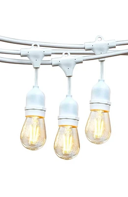 Brightech Ambience Pro LED 2W String Lights in White at Nordstrom