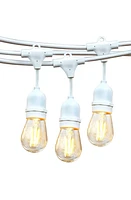 Brightech Ambience Pro LED 2W String Lights in White at Nordstrom