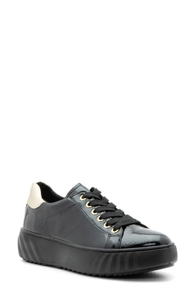 ara Mikky Platform Sneaker Black/Platinum at Nordstrom,