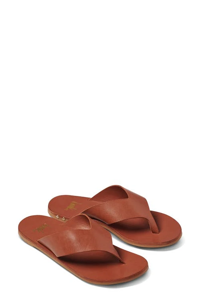 Beek Pip Flip Flop at Nordstrom,