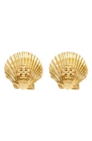 Tory Burch Shell Stud Earrings in Rolled Light Brass at Nordstrom