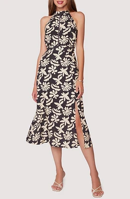 Lost + Wander Tropic Flair Midi Dress Black Cream at Nordstrom,