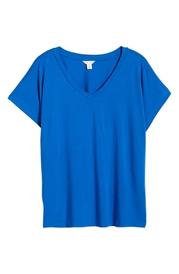 caslon(r) Dolman Sleeve V-Neck T-Shirt at Nordstrom,