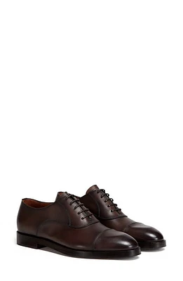 ZEGNA Torino Cap Toe Oxford Dark Brown at Nordstrom,