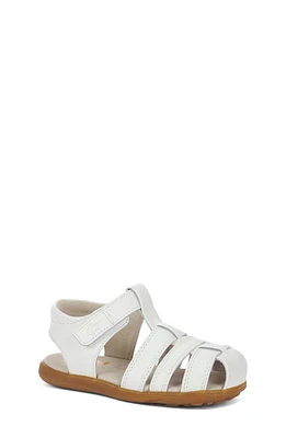 See Kai Run Gloria Sandal White at Nordstrom, M