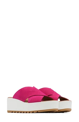 SOREL Cameron Flatform Mule Fuchsia Fizz/Sea Salt at Nordstrom,