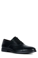 Geox Decio Water Resistant Cap Toe Oxford at Nordstrom,