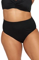 Artesands Natare Chlorine Resistant Bikini Bottoms in Black at Nordstrom, Size 14 Us