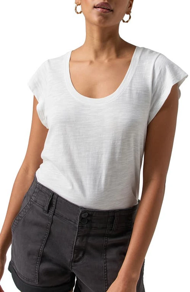 Sanctuary West Side Scoop Neck T-Shirt at Nordstrom,