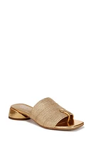 Franco Sarto Loran Sandal at Nordstrom,