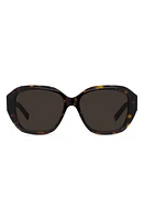 Givenchy GV Day 55mm Round Sunglasses in Dark Havana /Brown at Nordstrom