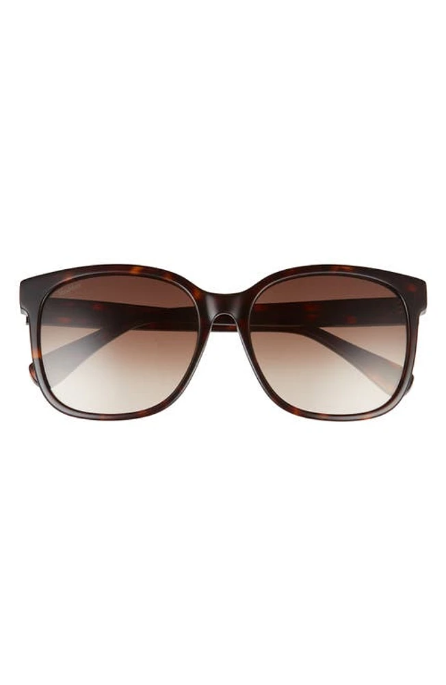 Max Mara 57mm Gradient Square Sunglasses in Havana/Brown at Nordstrom