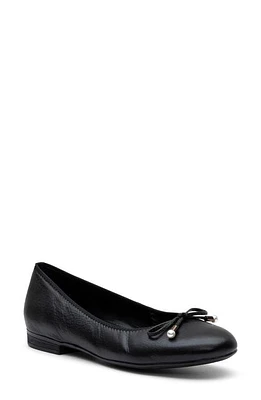 ara Scout Ballet Flat Black at Nordstrom,