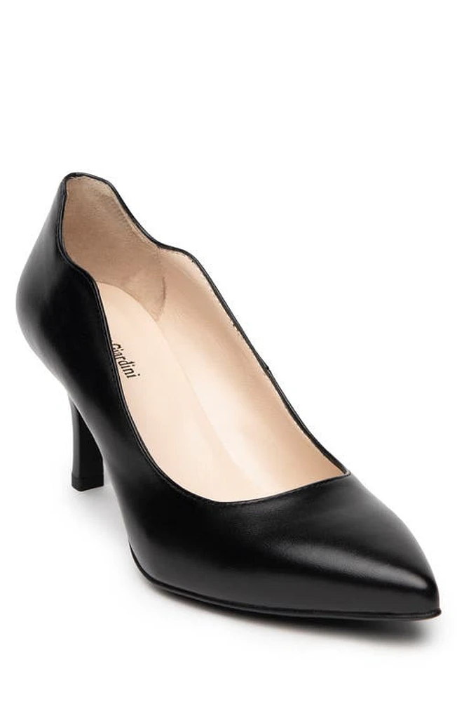 NeroGiardini Elegant Pointed Toe Pump Black at Nordstrom,