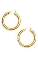 Argento Vivo Sterling Silver Hoop Earrings in Gold at Nordstrom