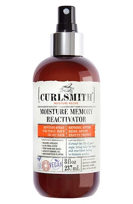 CURLSMITH Moisture Memory Reactivator at Nordstrom, Size 8 Oz