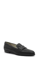 Amalfi by Rangoni Orosei Loafer Parmasoft at Nordstrom,