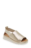 The FLEXX Wat Is Wav 2 Sandal at Nordstrom,