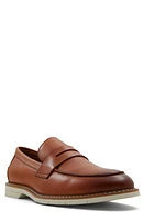 ALDO Zadar Penny Loafer Cognac at Nordstrom,