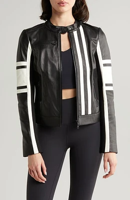 Blanc Noir Claudine Leather Racer Jacket in Black at Nordstrom, Size Large