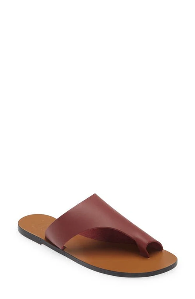 ATP ATELIER Rosa Toe Loop Sandal Merlot at Nordstrom,