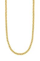 Bony Levy Katharine 14K Gold Chain Necklace in 14K Yellow Gold at Nordstrom, Size 18