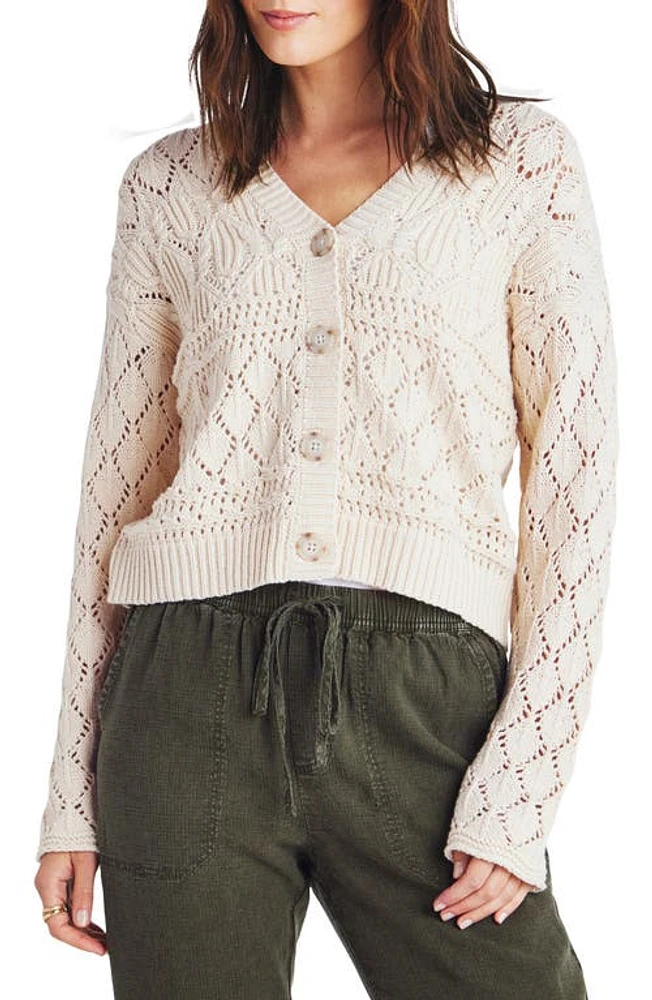 Splendid Dominica Open Stitch Cardigan Natural at Nordstrom,