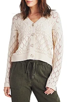 Splendid Dominica Open Stitch Cardigan Natural at Nordstrom,