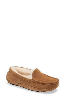 UGG(r) Ascot Slipper Chestnut Suede at Nordstrom, M