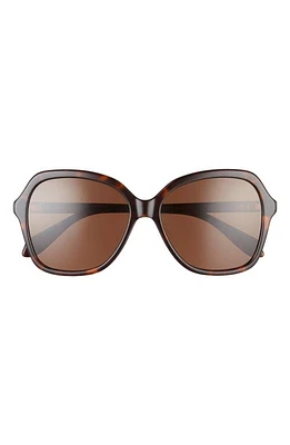 Mohala Eyewear Hiilawe 56mm Low Bridge Medium Width Polarized Oversized Sunglasses in Kukui Tortoise at Nordstrom