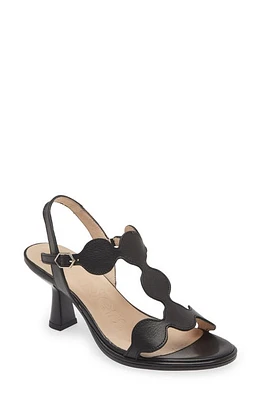 Wonders Ankle Strap Sandal Iseo Black at Nordstrom,