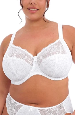 Elomi Morgan Full Figure Underwire Bra at Nordstrom,