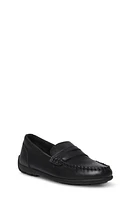 Steve Madden Kids' Bjarred Driving Loafer in Black at Nordstrom, Size 1 M