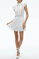 Alice + Olivia Meeko Embroidered Eyelet & Lace Trim Cotton Minidress Off White at Nordstrom,