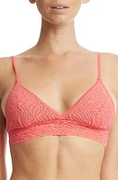 Hanky Panky Animal Max Lace Padded Bralette at Nordstrom,