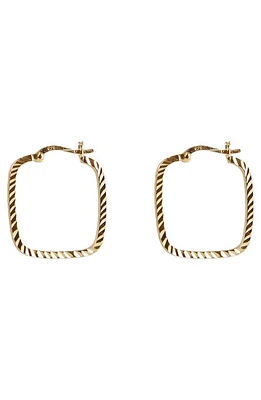 Argento Vivo Sterling Silver Diamond Cut Square Hoop Earrings in Gold at Nordstrom