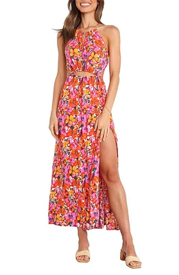 Petal & Pup Senorita Floral Print Sleeveless Maxi Dress at Nordstrom,