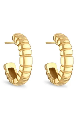 Pamela Zamore Orla Large Oval Hoop Earrings in Gold at Nordstrom