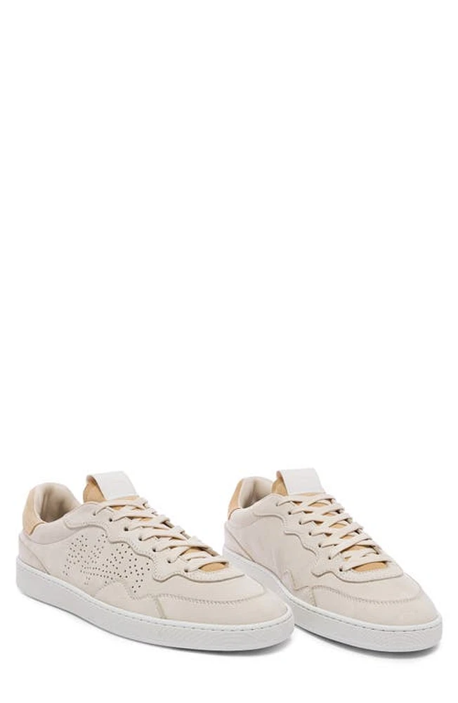 P448 Yam Skate Sneaker in Cream-Tan at Nordstrom, Size 8-8.5 Us