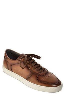 TO BOOT NEW YORK Barbera Sneaker at Nordstrom,