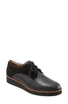 SoftWalk Willis Derby in Black/Black Leather at Nordstrom, Size 6