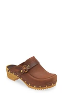 Sanita Lillen Clog at Nordstrom,