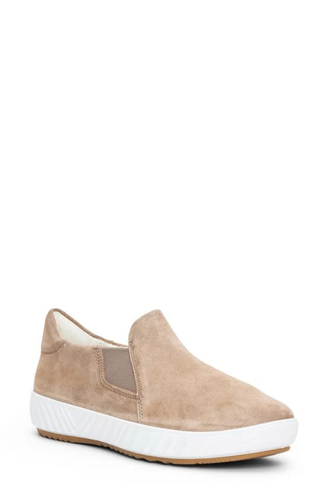 ara Arlington Suede Slip-On Sneaker in Sand Velour at Nordstrom, Size 7