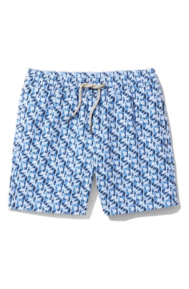 Fair Harbor Kids' Bayberry Seahorse Print Swim Trunks Wave Blue at