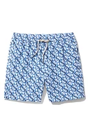 Fair Harbor Kids' Bayberry Seahorse Print Swim Trunks Wave Blue at